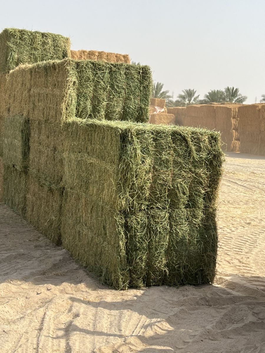 سوبريم