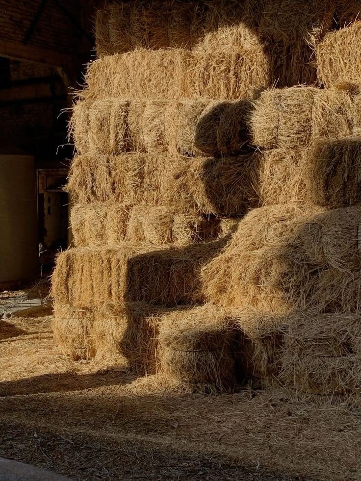 عادية